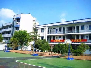 厲害了我大魔都 上海100多所學校同時被國家點名表揚啦