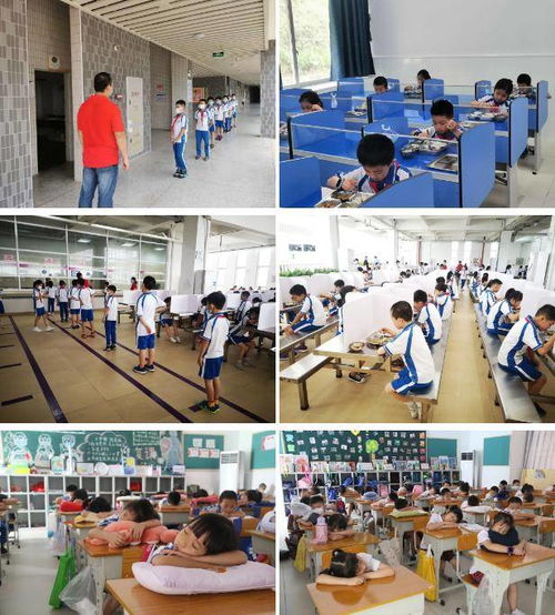 荔園花兒開,百靈鳥歸來 北師大廣州實驗學校小學部復學第一天