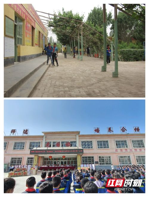 兒童節來臨 拼多多發出一份送往 西域明珠 的禮物