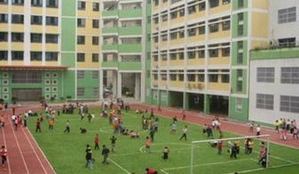 重慶這幾所幼兒園和小學,不光報名要提前一年,有錢都不一定讀得到