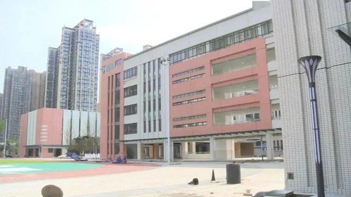 新增一批 2021各區新開校小學還有這些