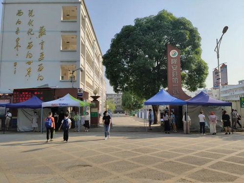 隆安縣中小學第二批學生開學有序進行