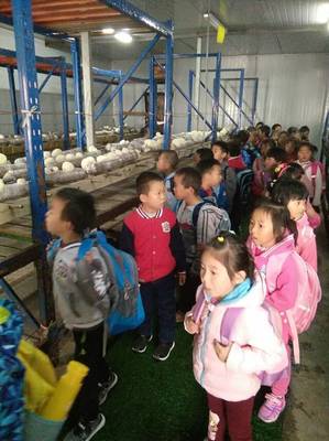 我們的第一次社會大課堂――顧冊小學一年級第一小學校