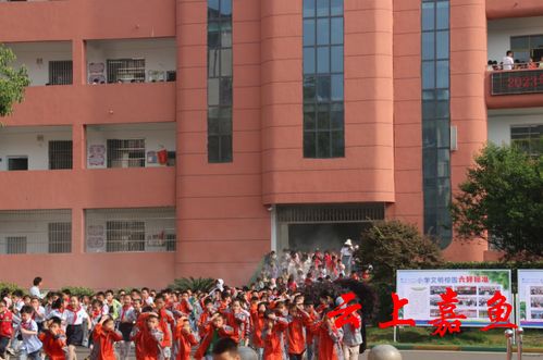 嘉魚縣第一小學茶庵校區開展春季校園安全消防疏散演練活動